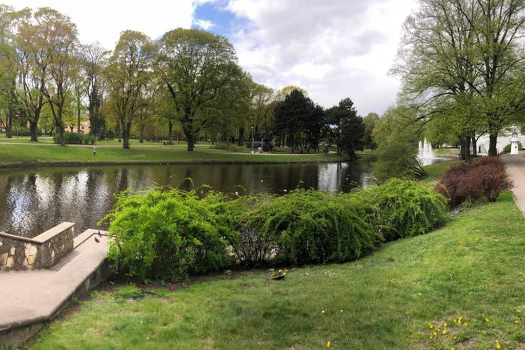New Comfortable Apartment Nearby Promenade In 5 Minutes From Old Town Of Riga. Eksteriør bilde
